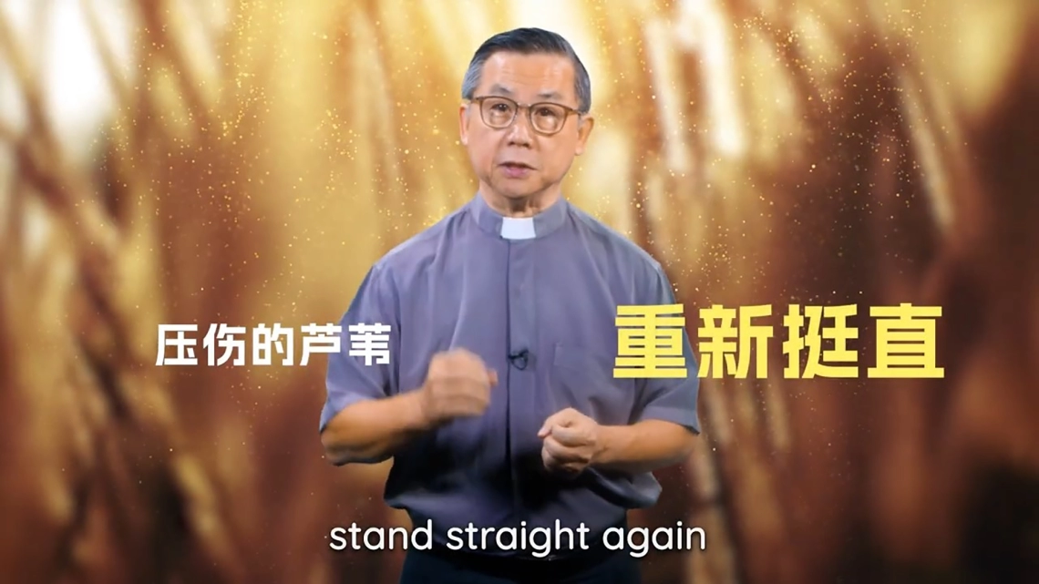 压伤的芦苇祂不折断 | 苏立忠牧师